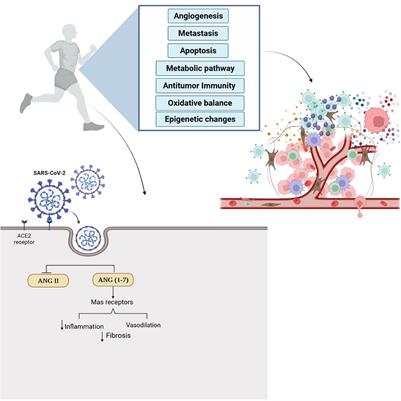 Combined Effects of Exercise Training and Nutritional Supplementation in Cancer Patients in the Context of the COVID-19: A Perspective Study